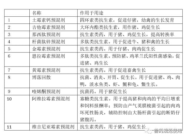 澳客网首页，体育迷的数字乐园与信息集散地澳客竞彩网首页