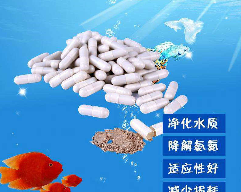 企业介绍 第447页