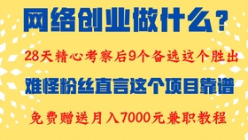 副业兼职新风尚，在画小鸟的乐趣中探索多元收入副业兼职平台画小鸟可以吗