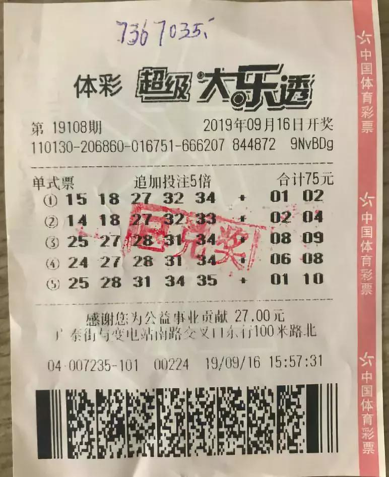 世界杯彩票中奖攻略，从选号到兑奖的全面解析世界杯彩票怎么看中奖了没