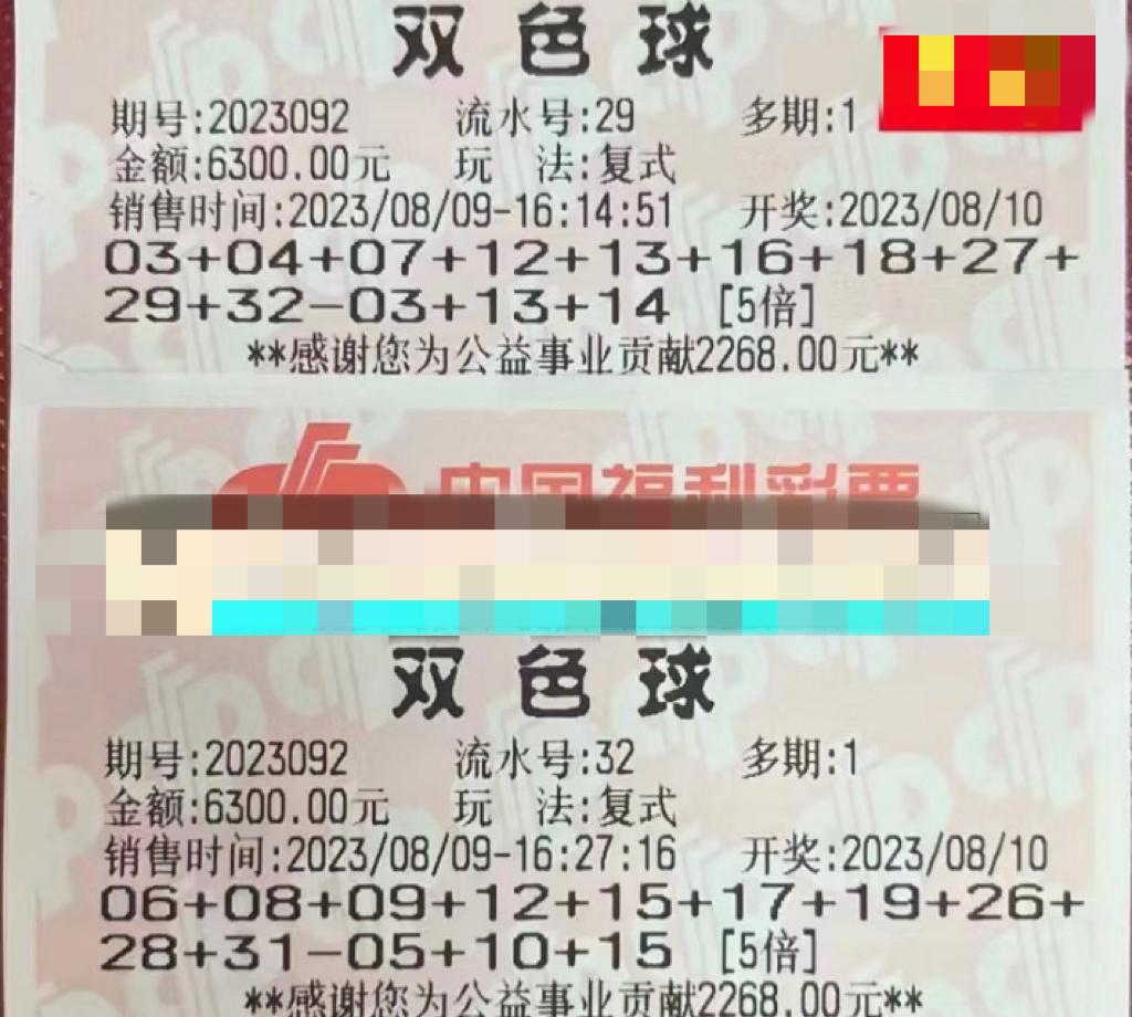 探索双色球胆拖投注的奥秘，实用对照表解析双色球胆拖投注对照表 价格表