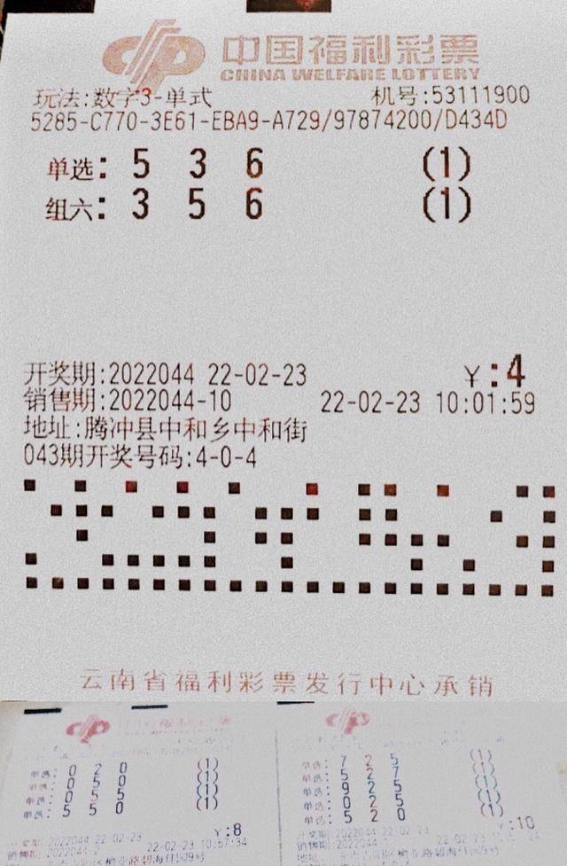 探索香港开奖记录，历史与未来的交汇点香港开奖记录结果今天开什么