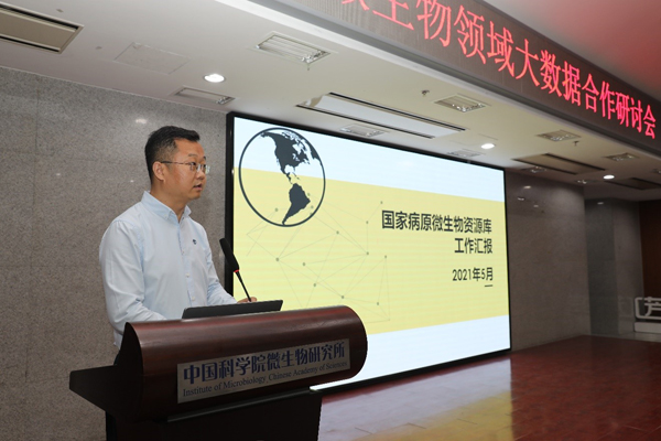 科学解析大乐透，基于历史数据与随机性的号码预测策略大乐透推荐号码预测专家今日免费