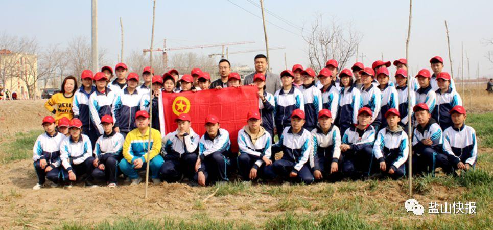 燕赵风采20选5，揭秘开奖结果查询的奥秘与乐趣燕赵风采20选5开奖结果查询今天