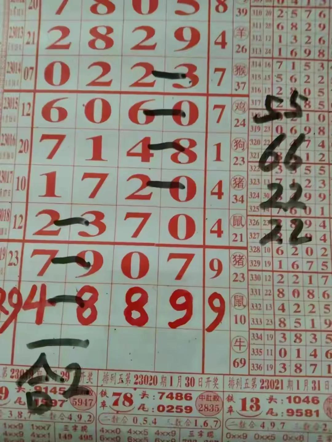 31选7，揭秘开奖号码走势图与新浪的独特视角31选7开奖号码走势图新浪网