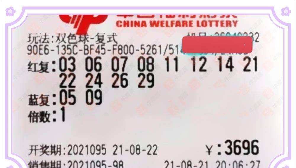 揭秘双色球第21095期开奖结果，幸运与希望的碰撞双色球开奖结果21095期查询