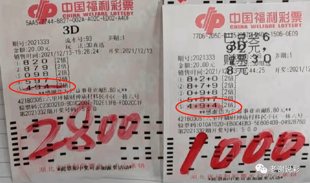 3D彩票 第7页