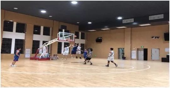 篮球比分网，实时追踪，激情与策略的完美融合篮球比分网即时比分一一手机版球探网篮球比分旧版