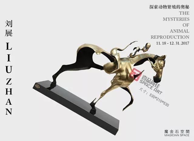 探索天牛红五3D图谜的奥秘，一场视觉与智慧的盛宴天牛红五3d图谜总汇大全