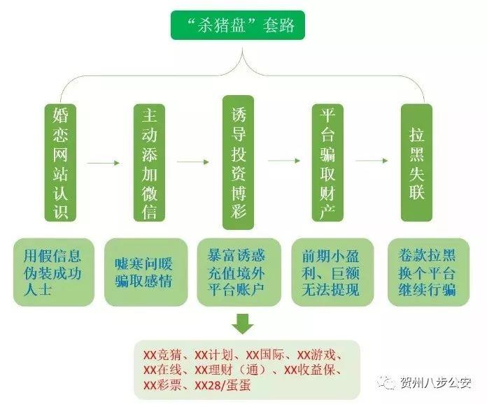 彩客彩票app，数字游戏中的幸运之选彩客彩票app手机版下载