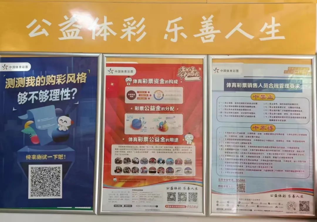探索未来彩票趋势，新奥六开彩资料2035的前瞻分析新奥六开彩资料2023圣诞节开什么生肖