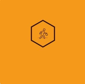排列五走势图专业版带连线，揭秘数字彩票的奥秘排列5走势图专业版带连线新浪