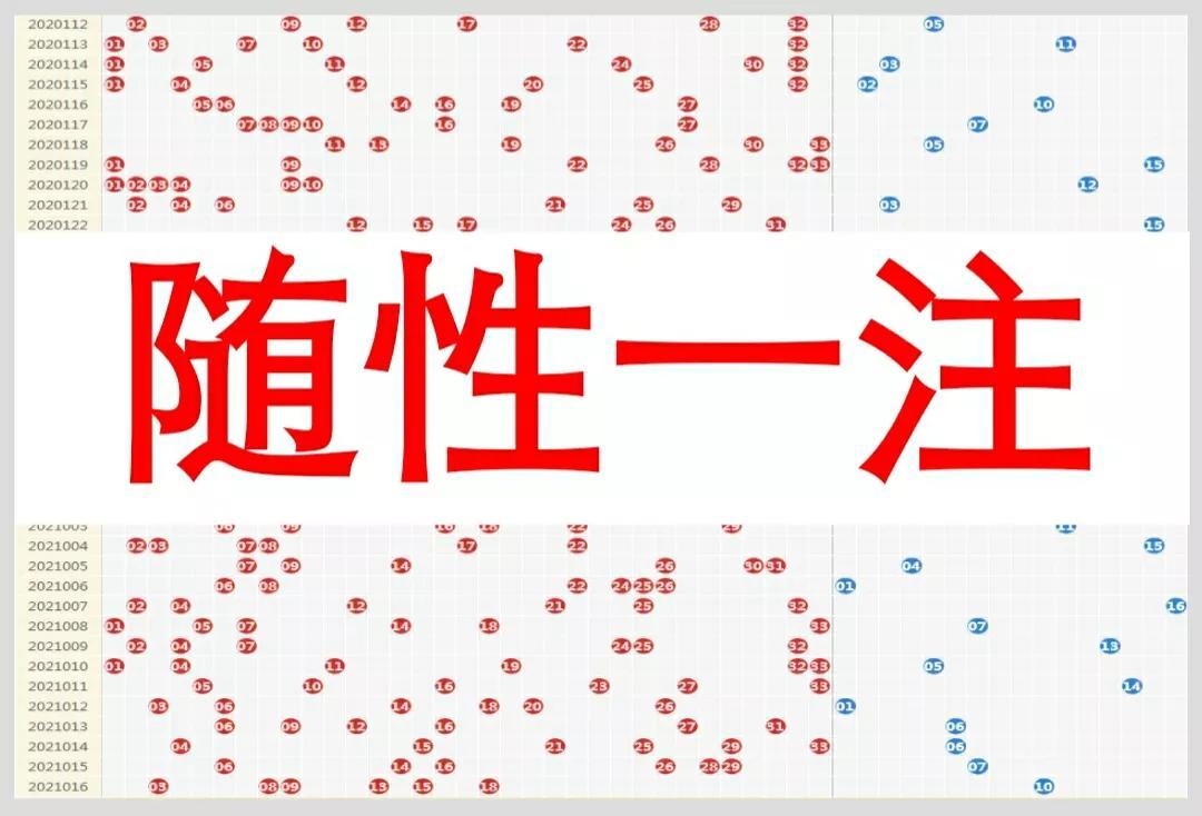双色球21146期，揭秘数字背后的幸运与智慧双色球21146期开奖结果