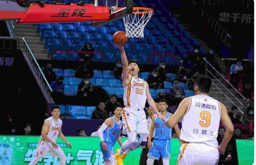 探索新浪体育CBA，中国篮球的激情与梦想新浪体育cba直播