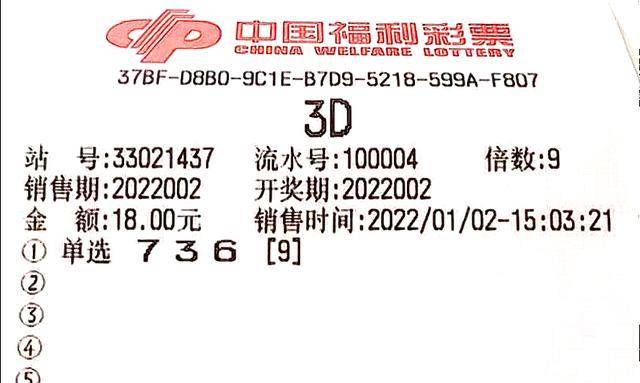 福彩3D汇总，牛彩网与数字游戏的魅力福彩3d汇总牛彩网七