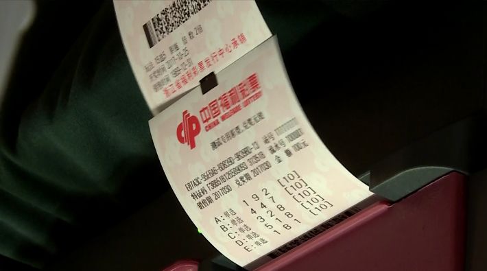 探索双色球，揭秘开奖结果与号码背后的奥秘双色球开奖结果双色球开奖号码查询乐彩网