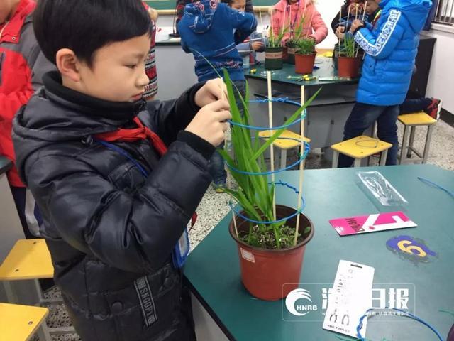 足球分析工具，解锁比赛奥秘的智能钥匙足球分析工具推荐