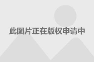 企业发展 第329页