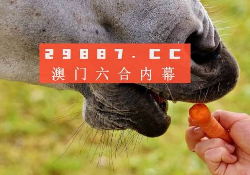 探索新奥门正版资料免费大全，解锁知识宝库的钥匙澳门正版资料免费大全新闻