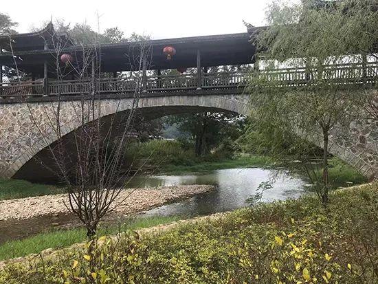 福建省体育彩票管理中心专管员，公益与责任的双重守护者福建省体育彩票管理中心专管员待遇好吗
