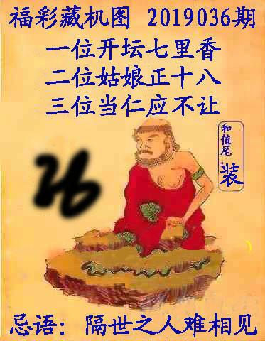 福彩3D今日唯彩会专家预测，深度解析与理性投注指南今天福彩3d唯彩会专家预测推荐