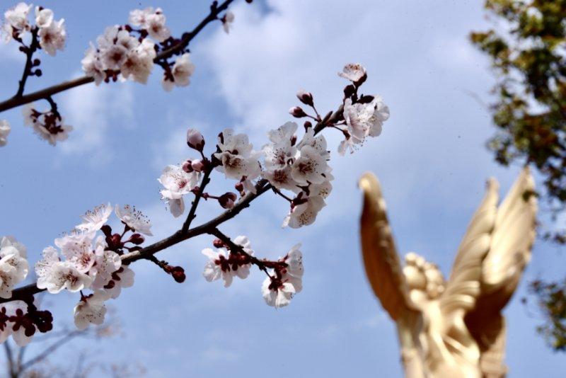 福彩七彩乐，梦想与希望的绚丽绽放福彩七彩乐彩票玩法介绍
