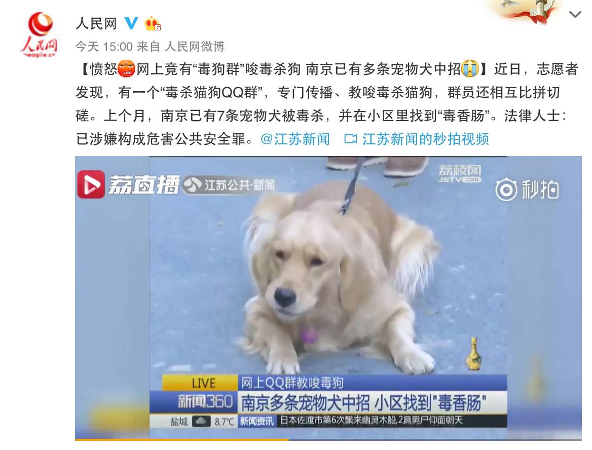今晚买四不像,一场关于幸运与传统的奇妙邃夜之旅今晚买四不像生肖是什么动物