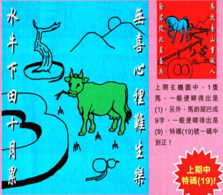 澳门49图库免费资料大全，深度解析与特色亮点4949澳门免费资料大全特色祈求神明指什么生肖