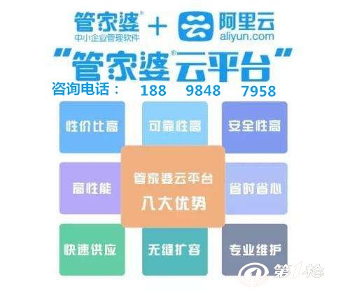 揭秘香港管家婆资料，正版公开的背后与影响2020香港管家婆资枓大全