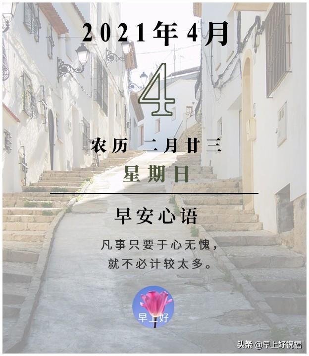 2023年展望,回顾与前瞻—全年资料免费看2021年资料免费公开