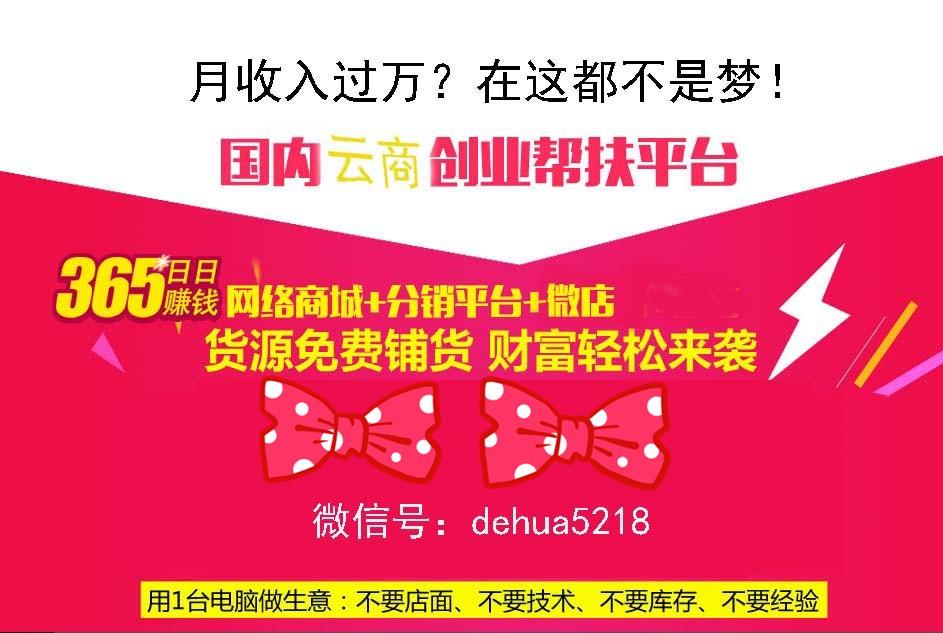 青春与梦想的交汇，510网赚论坛里的创业故事