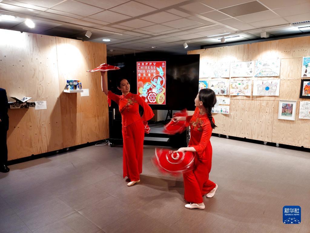 探索香港马赛，全面解析与资料大全香港马资料大资料大全梅花诗