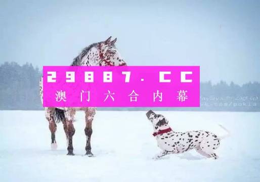 今晚六给彩，香港开奖的神秘魅力与期待香港今晚六给彩开奖结果今天晚上查询表