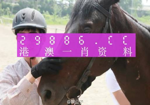 今晚新澳门必中一肖的真相，理性与娱乐并重今晚澳门码给我一肖吧