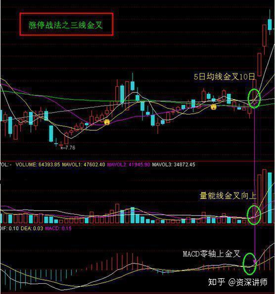 揭秘特马资料，精准预测的背后与理性分析特马资料最准网站2024开奖