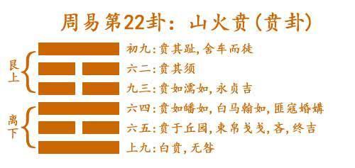 揭秘二四六玄机图，资料大全与实战解析二四六玄机图 资料大全特色