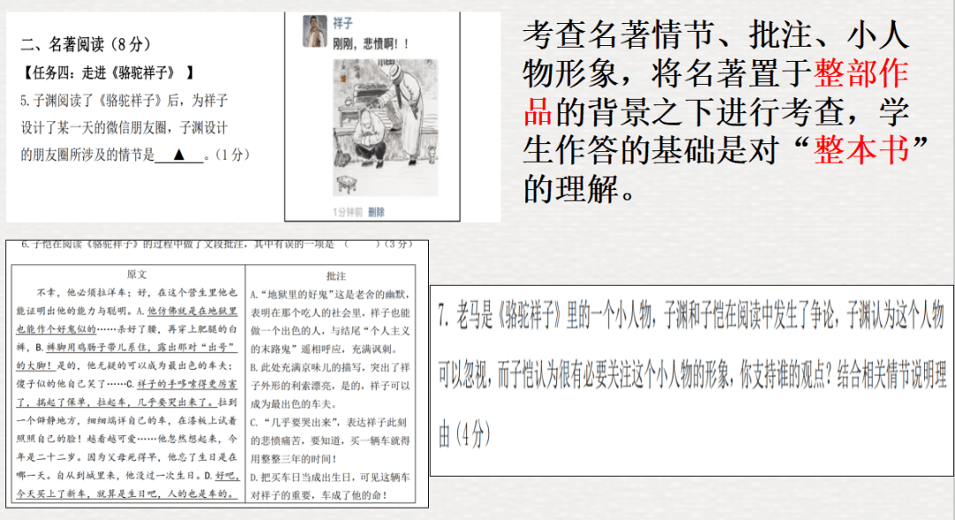 揭秘四肖期中准的奥秘与实战应用四肖期期中准一