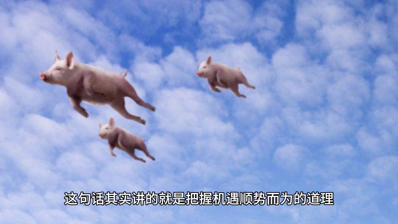 2043年澳门今晚特马揭秘，理性购彩，共享幸运时刻2024澳门今晚开特马开什么号