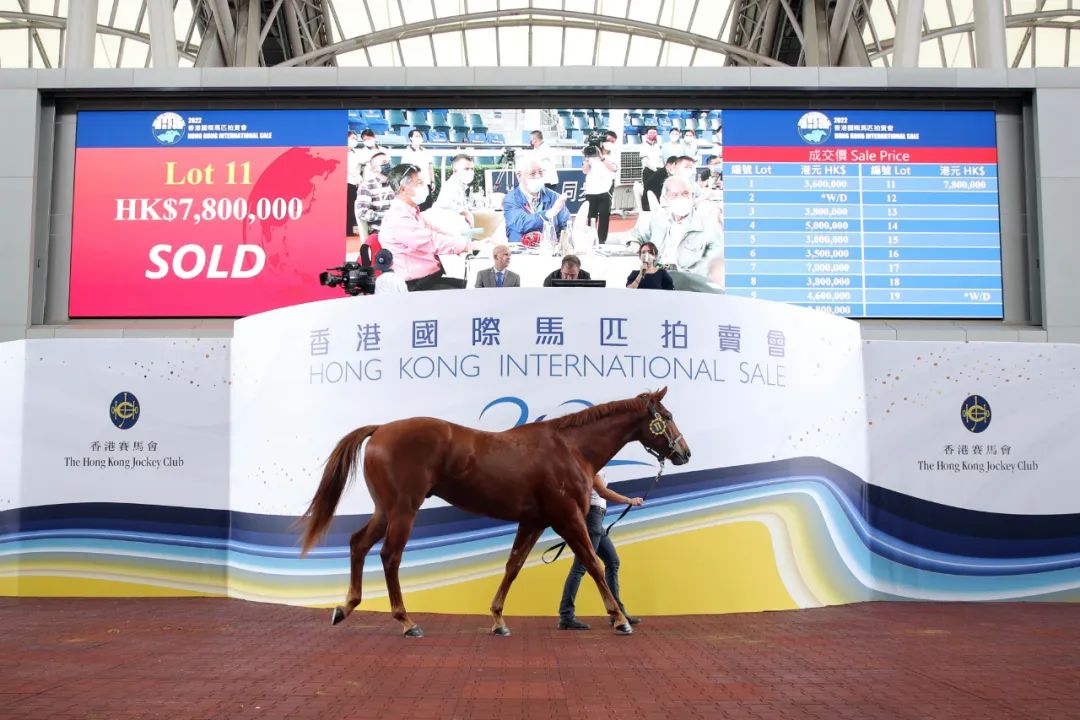 探索香港马会全年资料大全，历史、运营与影响香港2021年马会资料大全