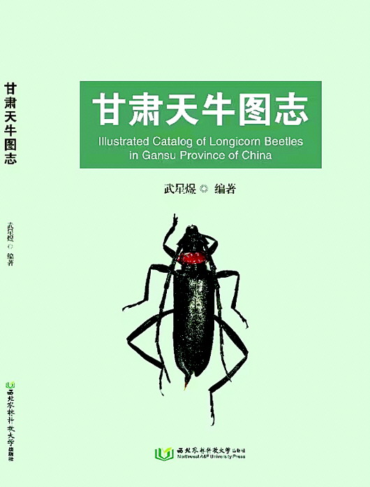 探索3D图库的奇妙世界，天牛三维图形资源汇总天牛3d图库3d图库汇总天牛3d图库开奖结果一句定三码