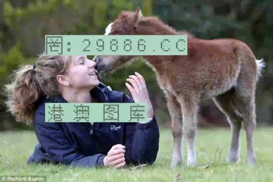 澳门一肖，历史与文化的独特魅力—探寻必开之谜的背后故事澳门一肖一码一必开一肖技术分析解读