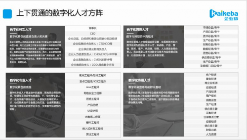 探索二肖3码的奥秘，数字背后的智慧与策略三码三肖