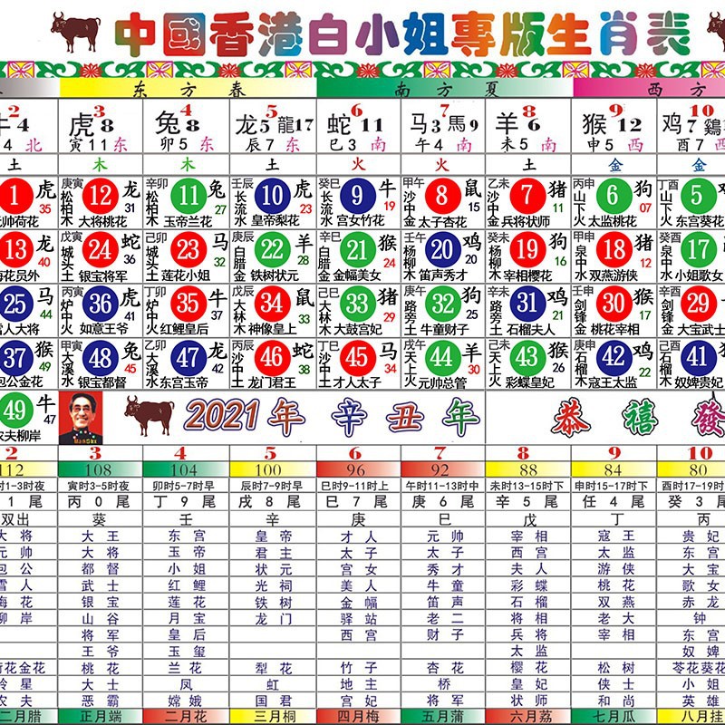 揭秘白小姐今期一肖中特，生肖预测的奥秘与理性分析2020白小姐一肖中
