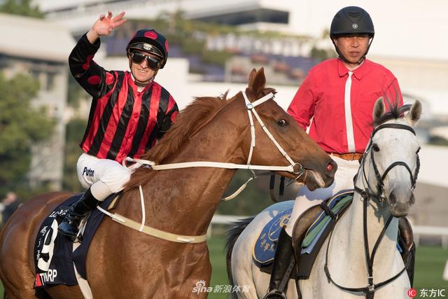2019年香港马赛开奖记录与结果分析2019香港码开奖历史记录