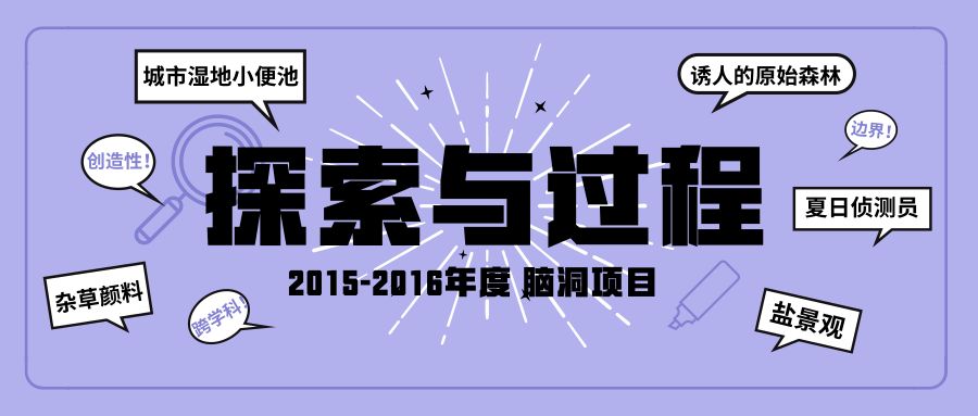 探索新澳马，今天最快最新图库的视觉盛宴新澳最快开奖结果 开奖记录