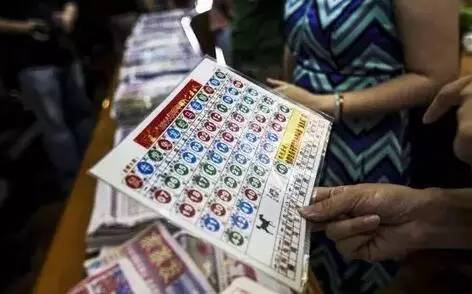 2043年香港开奖历史回顾，数字背后的故事与趋势分析2024年香港开奖历史记录结果