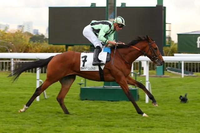2019年马会正版香港资料大全，探索赛马的魅力与智慧2021年正版马会香港资料大全一