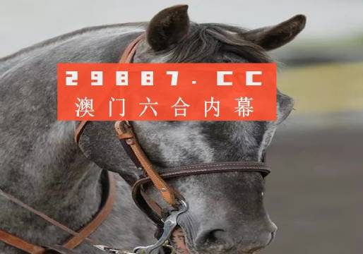 澳门精准一肖预测，揭秘背后的科学逻辑与文化传承澳门最准一肖一码一码配套成龙一汽
