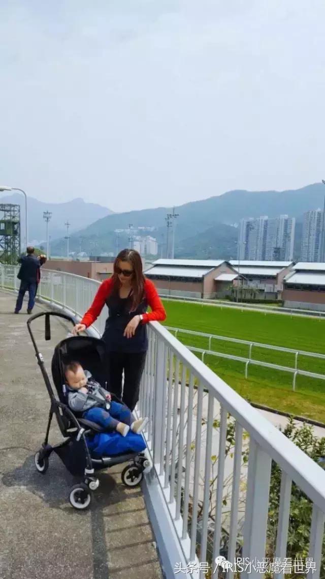 今期马会传真，揭秘香港赛马的魅力与影响今期马会传真图片1