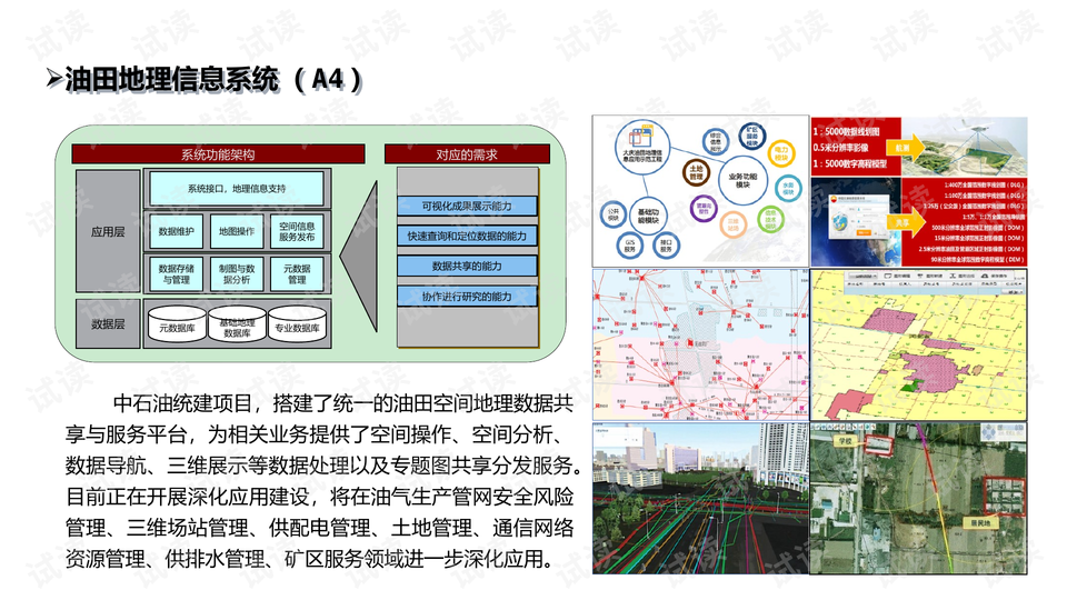 管家婆精选二四六码，解锁数字背后的智慧与奥秘管家婆二四六号码